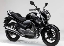 Suzuki Inazuma 250 rẻ hơn Kawasaki Ninja 250R