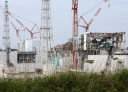 Thảm họa hạt nhân Fukushima do không lường trước nguy cơ