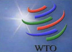 &#8220;Thỏa thuận gia nhập WTO của Nga hợp hiến pháp&#8221;