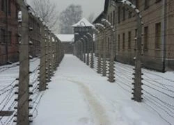 Ba Lan: Bị bắt vì lấy dây kẽm gai từ trại Auschwitz