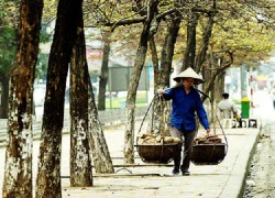 Chùm ảnh: Quang gánh nặng trĩu đôi vai người phụ nữ Việt