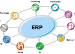 Dùng SAS ERP 8.0 để "trị bệnh" cho doanh nghiệp