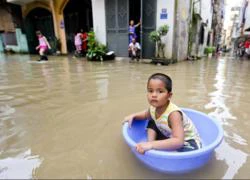 Hà Nội: Thau, bồn thành&#8230; phương tiện giao thông