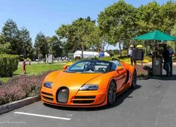 Hai chiếc Veyron Grand Sport Vitesse màu độc khoe dáng