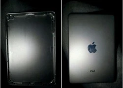 Hé lộ chân dung iPad mini