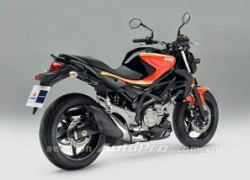 Hoài cổ với Suzuki SFV650 Gladius đặc biệt