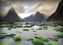 Lạc bước chốn bồng lai Milford Sound giữa hạ giới