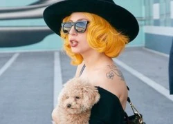 Lady Gaga ôm cún khoe hình xăm trên phố