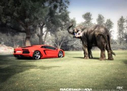 Lamborghini Aventador thuần phục voi dữ