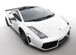 Một Lamborghini Gallardo thể thao và tinh thế hơn