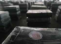 Quân đội Colombia thu giữ gần một tấn Cocaine