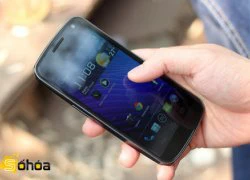 Samsung: 'Galaxy Nexus không đủ gây hại cho Apple'