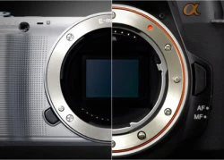 Sony đang sản xuất máy NEX cảm biến full-frame