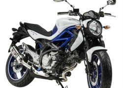 Suzuki trình làng Gladius 650 mới