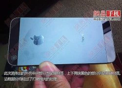 Thuê vỏ iPhone 5 giá 7.800 USD một ngày