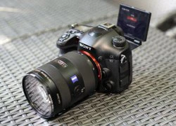 Ảnh thực tế Sony Alpha A99 tại Việt Nam