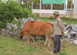 "Bê tặc" oanh tạc vùng quê nghèo