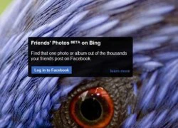 Bing cho phép tìm ảnh trên Facebook