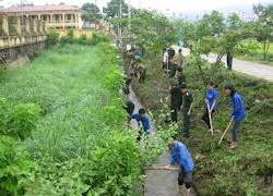 Động lực mới cho phong trào thanh niên tình nguyện