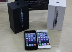 Giá iPhone 5 giảm mạnh