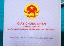 Hà Nội yêu cầu làm rõ việc mất phôi sổ đỏ