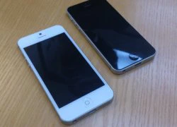 iPhone 5 chưa ra, hàng nhái đã rục rịch về VN