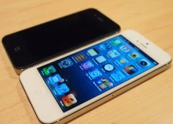 iPhone 5 có thể về VN ngày 21/9, giá từ 25 triệu đồng