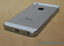 iPhone 5 không có NFC