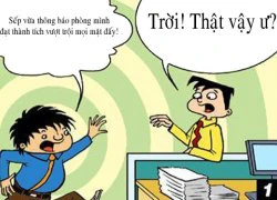 Khi nhân viên mừng hụt