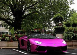 Lamborghini Aventador tím cho người mơ mộng