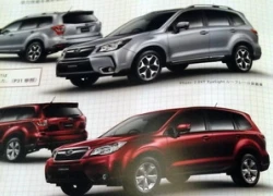 Lộ diện mẫu Subaru Forester compact SUV đời mới