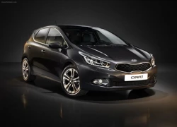 Lộ diện xe đa dụng KIA Carens 2013