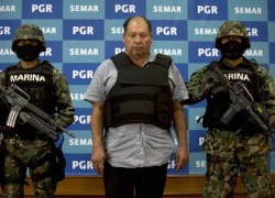 Mexico bắt giữ ông trùm của băng Gulf Cartel