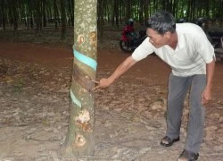 Một thanh niên chết khó hiểu