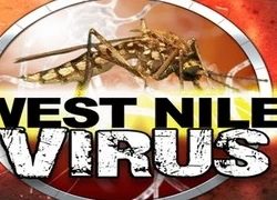 Mỹ: Virus Tây sông Nile gia tăng tại bang Oklahoma