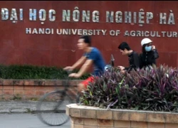 Nâng điểm cho hàng loạt học viên cao học