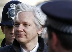 Putin: Vụ Assange có thể mang động cơ chính trị