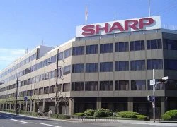 Sharp giảm 10.000 nhân viên, bán nhà máy cho Foxconn