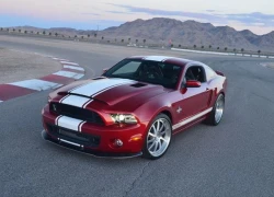 "Siêu rắn" Shelby GT500 2013 Cực mạnh và rất rẻ