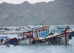 Suýt chìm tàu, hơn 70 hành khách hoảng loạn