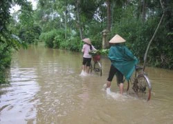 Tân sinh viên chăn trâu bị lũ cuốn trôi