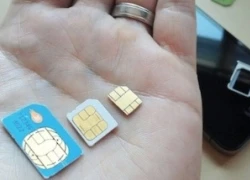 Tin vui cho 'tín đồ' iPhone Việt: Nhà mạng đang thử nghiệm nano-sim