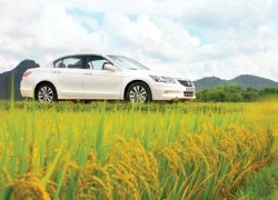 Toyota Camry 2.5Q vs Honda Accord 2.4 - cuộc chiến không ngừng nghỉ