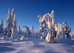 Yakutia - Đất nước của những kỷ lục