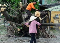 7 người chết, thiệt hại hàng nghìn tỷ vì bão Sơn Tinh