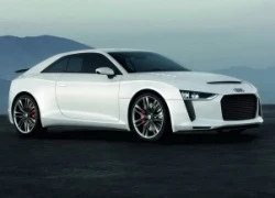 Audi &#8220;khai tử&#8221; Quattro Concept