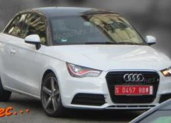 Audi RS1 lộ ảnh trên đường