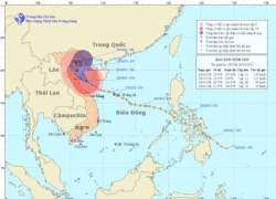 Bão số 8 cách Nam Định - Nghệ An 130 km