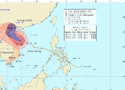 Bão số 8 đổ bộ vào Thanh Hóa và nam đồng bằng Bắc bộ