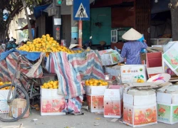 Bất lực với chất lượng rau quả nhập khẩu